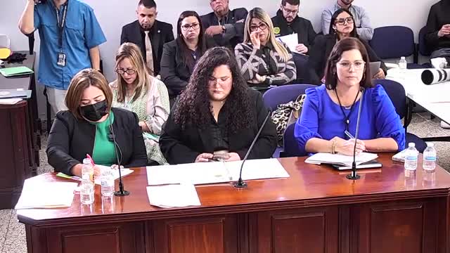 Puerto Rico police improve domestic violence training for new recruits