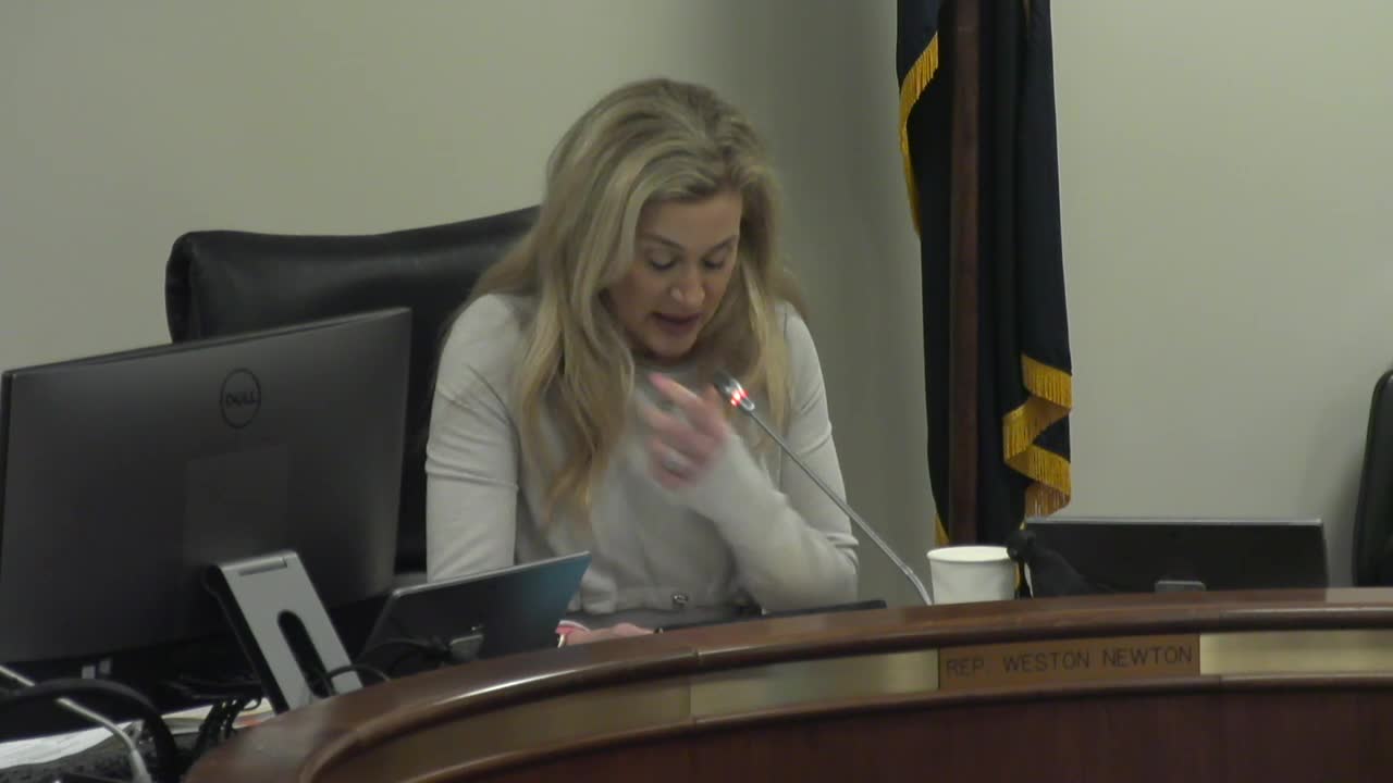 South Carolina considers attorney-only guardian ad litem law with amendment for lay guardians