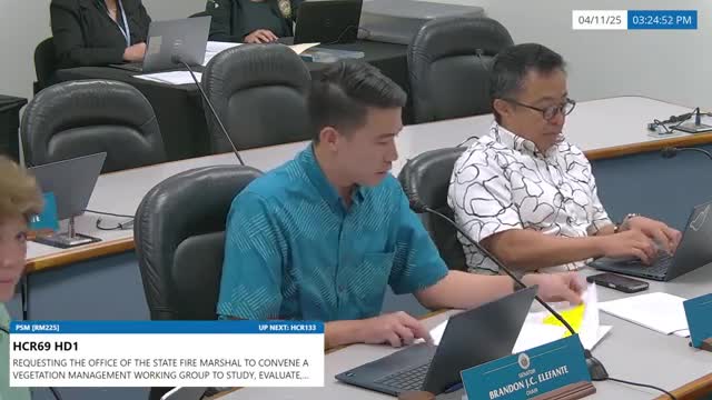 Michael Angelo testifies before DCCA committee on key issues