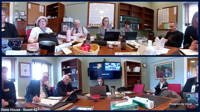 Committee adopts amendment extending Vermont protections to out-of-state providers and tightens patient-data limits