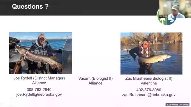 Fish population survey reveals challenges in Minitare's walleye abundance