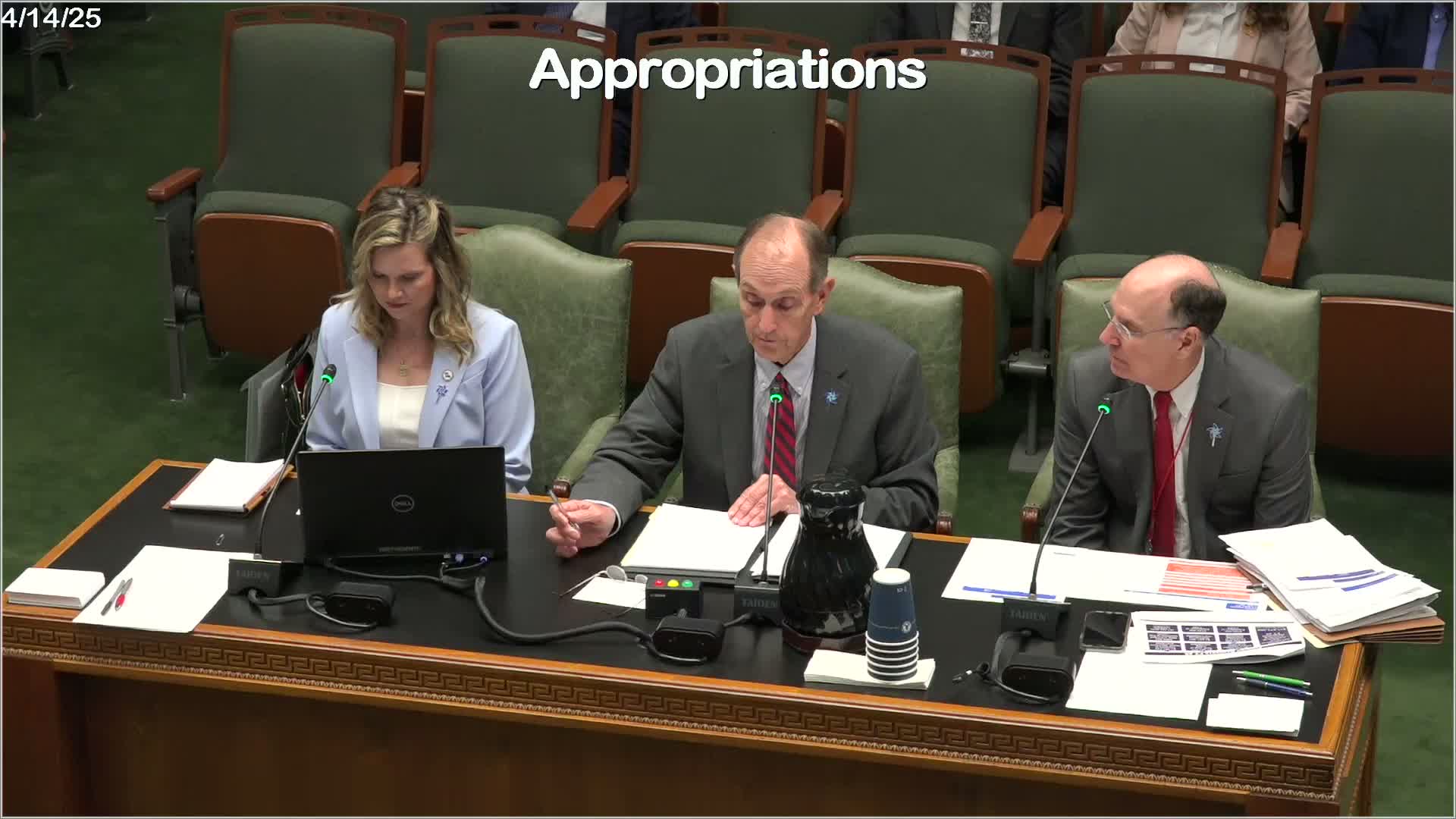 Amanda Moody highlights CASA's impact on Louisiana's vulnerable children at legislative meeting