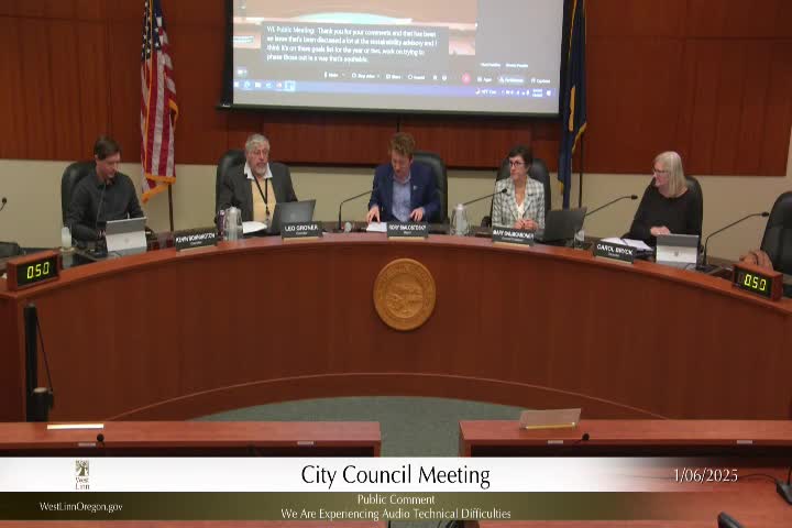 Mary Baumgartner reelected council president by unanimous vote