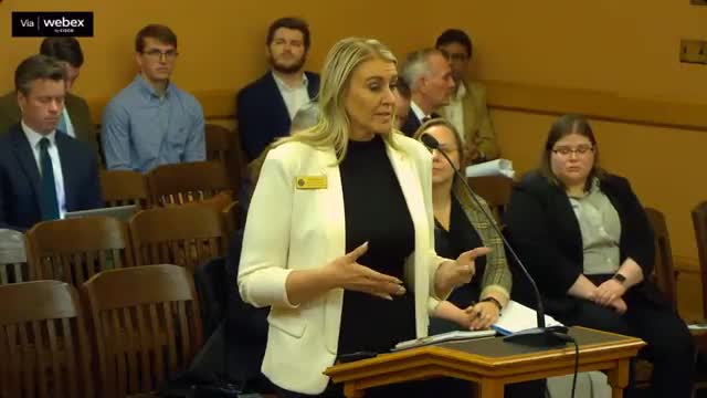 KanCare Oversight Committee explores subcommittees for improved focus on children