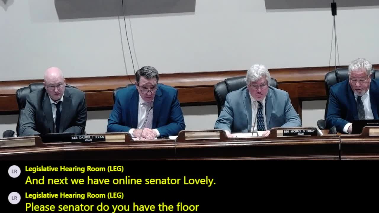 Committee hears wide array of retirement and pension bills, from SMART Plan auto-enroll to pension reporting and divestment proposals