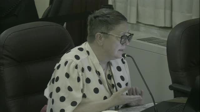 St. Augustine City Commission approves mobile vendor restrictions during holidays