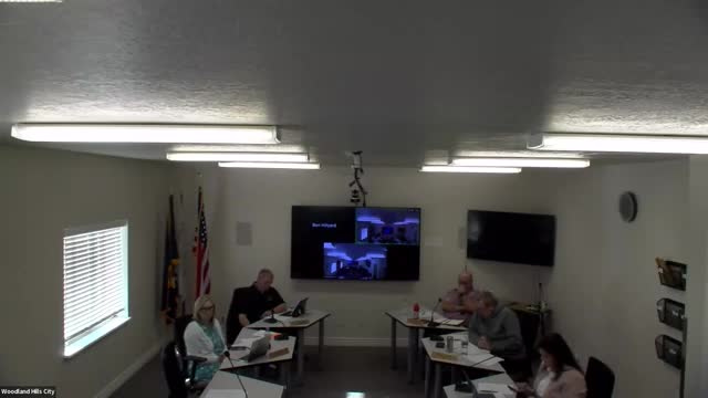 City Council reviews election agreement and debates voting methods ahead of 2025 elections