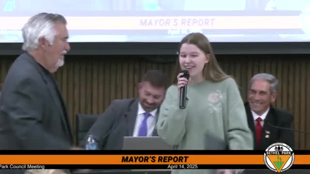 Bethel Park leaders discuss elementary schools repurposing and community sports challenges