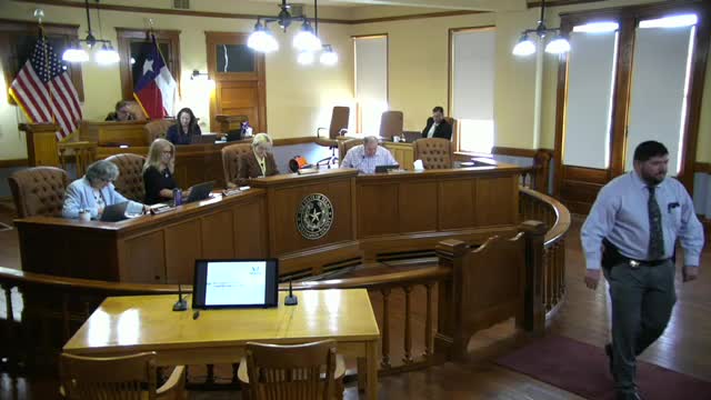 Audit partner Rebecca Goldstein presents Williamson County's comprehensive financial report