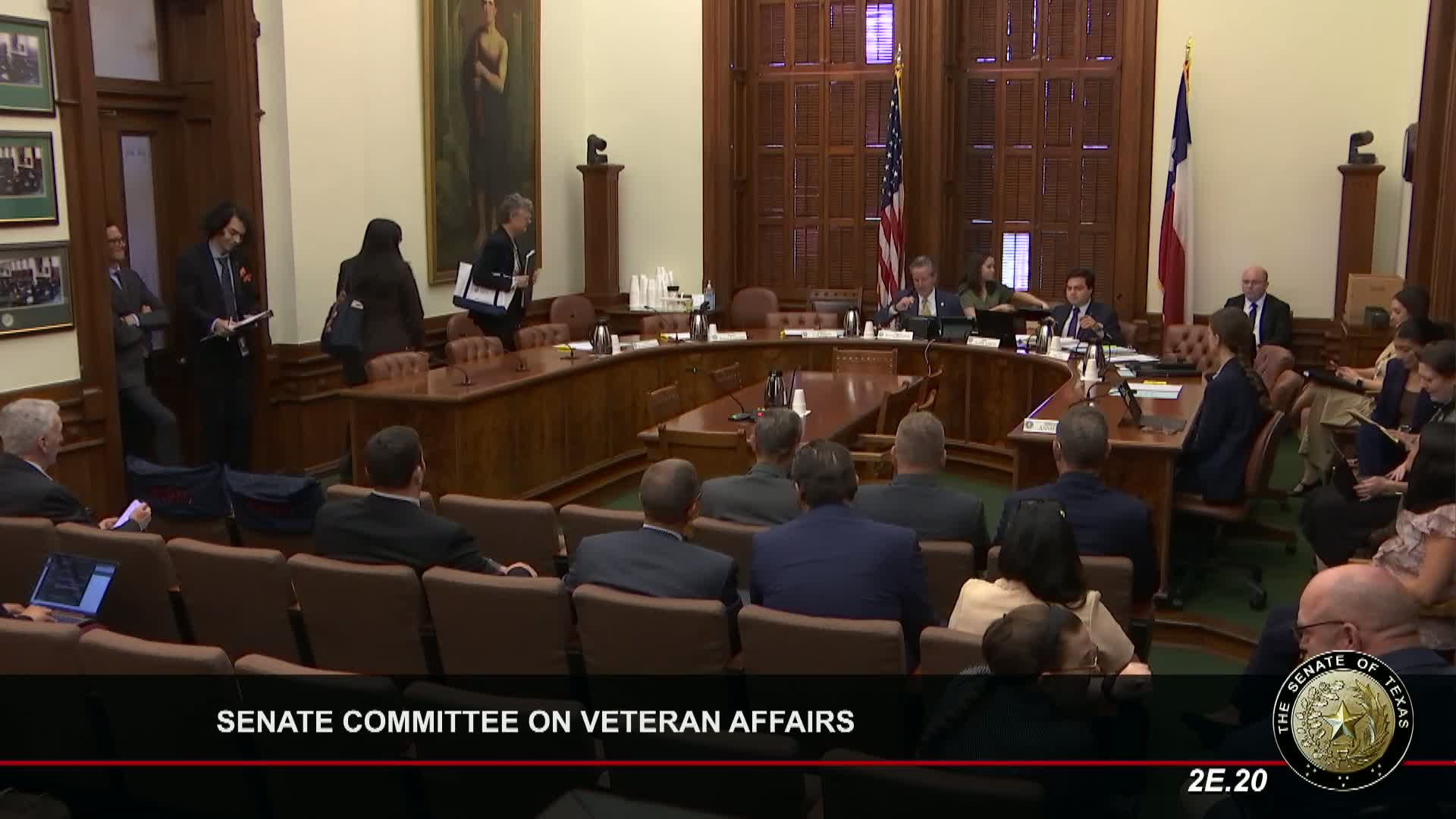 Texas Senate committee reviews veterans mental health and housing legislation