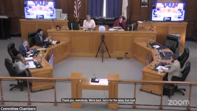 After executive session, committee approves request to mayor and council for security project funding options