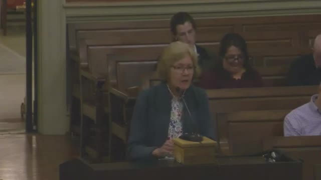 Newton City Council faces backlash over village center overlay district proposal