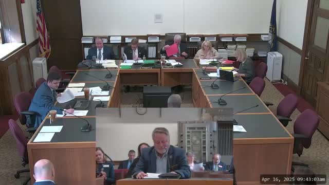 New Hampshire Autism Council Bill Revisions Spark Debate on Council's Future