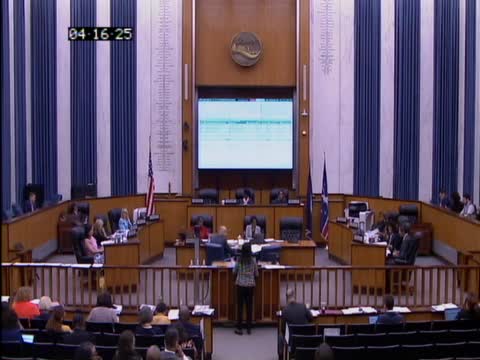 Interim CAO Sabrina Joyhawk addresses new screen display concerns