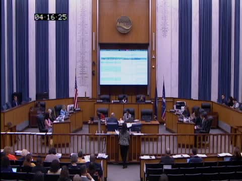 Richmond Council debates efficiency and roles of management analysts amid budget cuts
