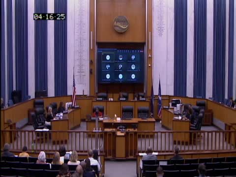 Richmond Council considers tax rate adjustment to aid struggling homeowners