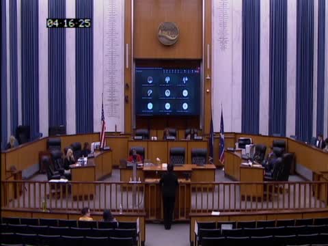 Committee forwards board reappointments and participatory‑budget appointment to council