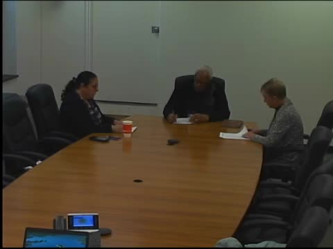 Noruchelle City Council reviews new library treasurer job specification and operations manager role