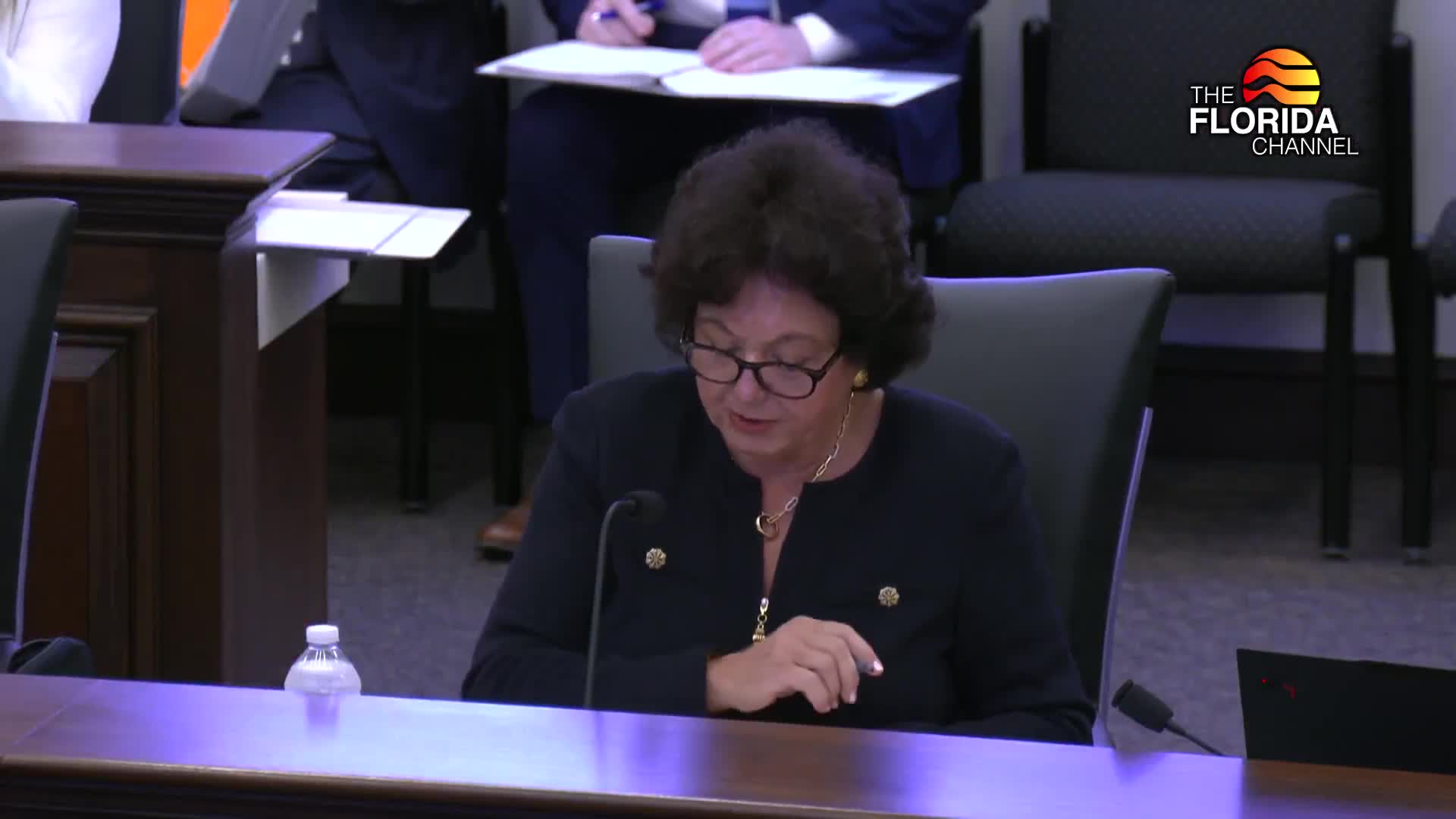 Rules Committee roundup: how the committee voted on a dozen bills (May 20, 2025)