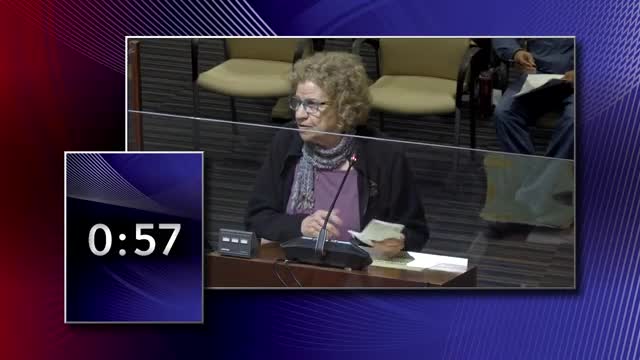 Residents urge Richmond council to support Riggers Loft against closure threats