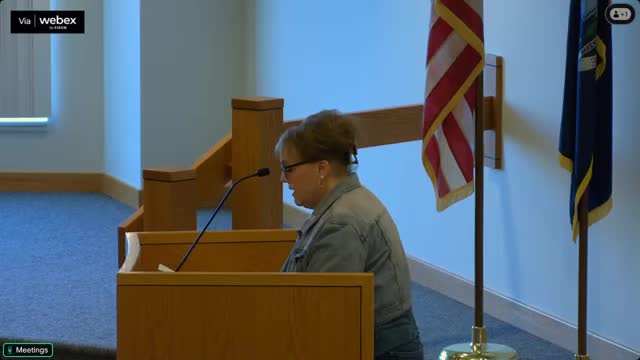 Residents voice concerns over solar project impacts at Fort Gratiot meeting