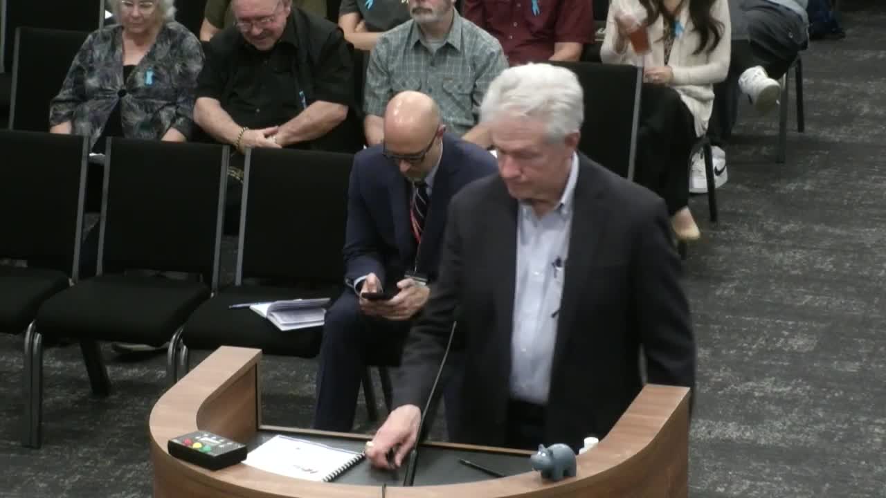 Downtown Hutto Business Association outlines revitalization goals at council meeting