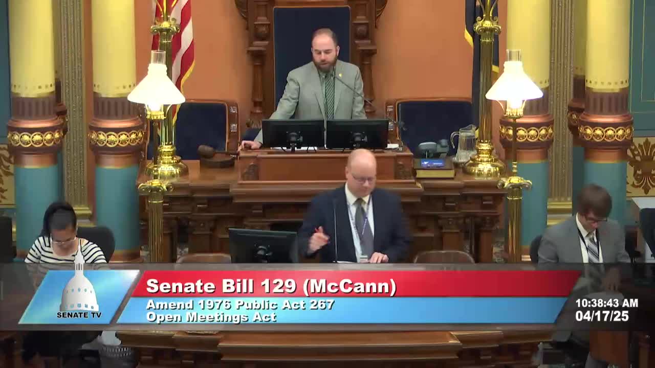 Michigan Senate passes multiple bills including foster care reform and maternal health package