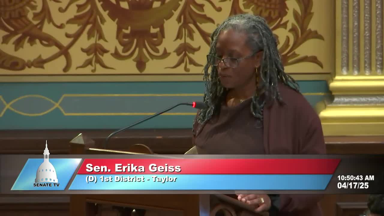 Michigan Senate passes multiple bills including Senate Bill 29 on maternal health