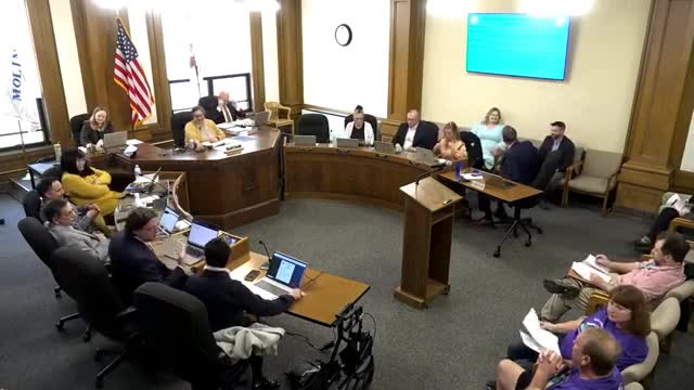 Moline City Council approves funding for Quad City Classic Pickleball Tournament