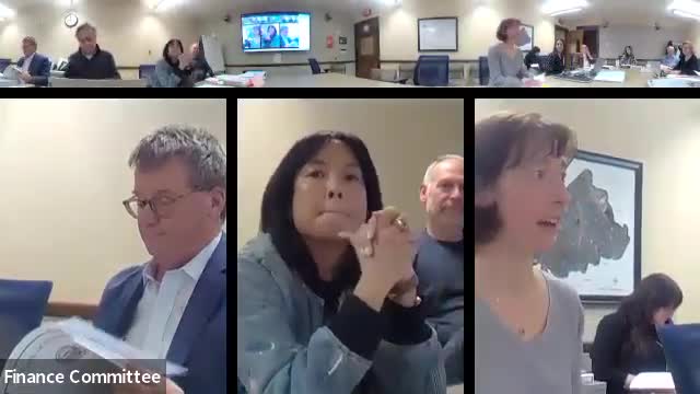 Finance Committee takes no position on black‑plastic ban, urges stakeholder engagement