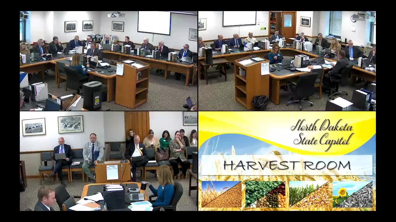 North Dakota committee debates million-dollar pro-life funding for pregnancy support programs