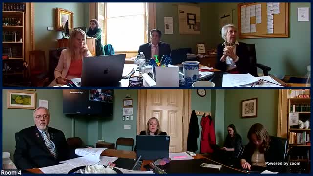 Legislators debate write-in candidate deadline to enhance election accessibility
