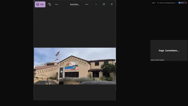 City Council debates butterfly window donation for historic museum