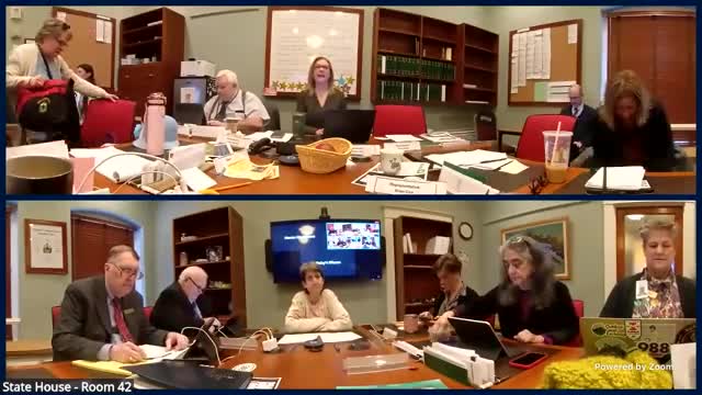 Committee considers amendment to define “behavioral health” in S27 to avoid out‑of‑state interpretation