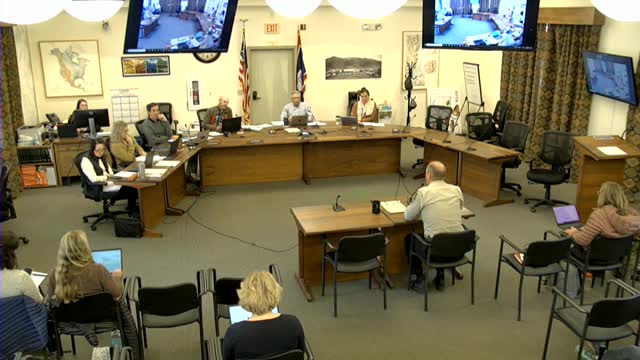 Library Director Roberson discusses budget cuts and service changes at county meeting