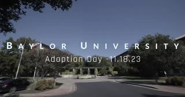 Baylor Law School celebrates 16th National Adoption Day with over 400 adoptions