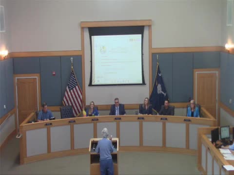 Community urges Goose Creek Council to implement anti-camping and panhandling ordinances