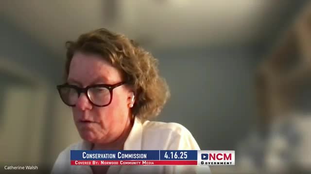 Norwood commission affirms wetland delineation for Norton Drive site, notes FEMA floodplain and requires NOI for construction