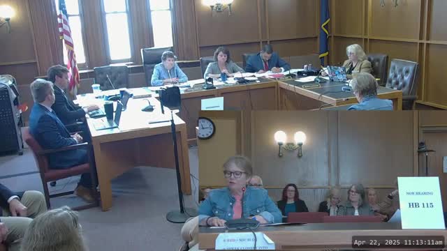 Residents rally against HB 115's expansion of Education Freedom Accounts in New Hampshire