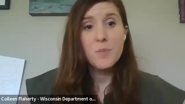 Monona boosts festival marketing efforts beyond Dane County