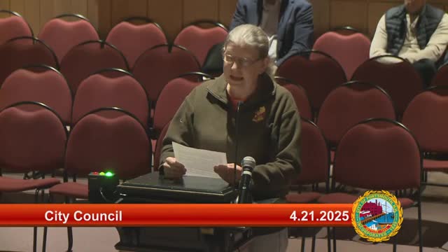 Residents urge Portsmouth Council to address Islington Creek zoning issues immediately