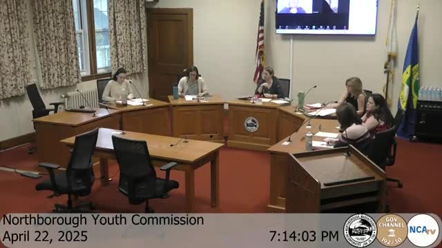 Northborough Youth Commission adopts four goals after brief debate