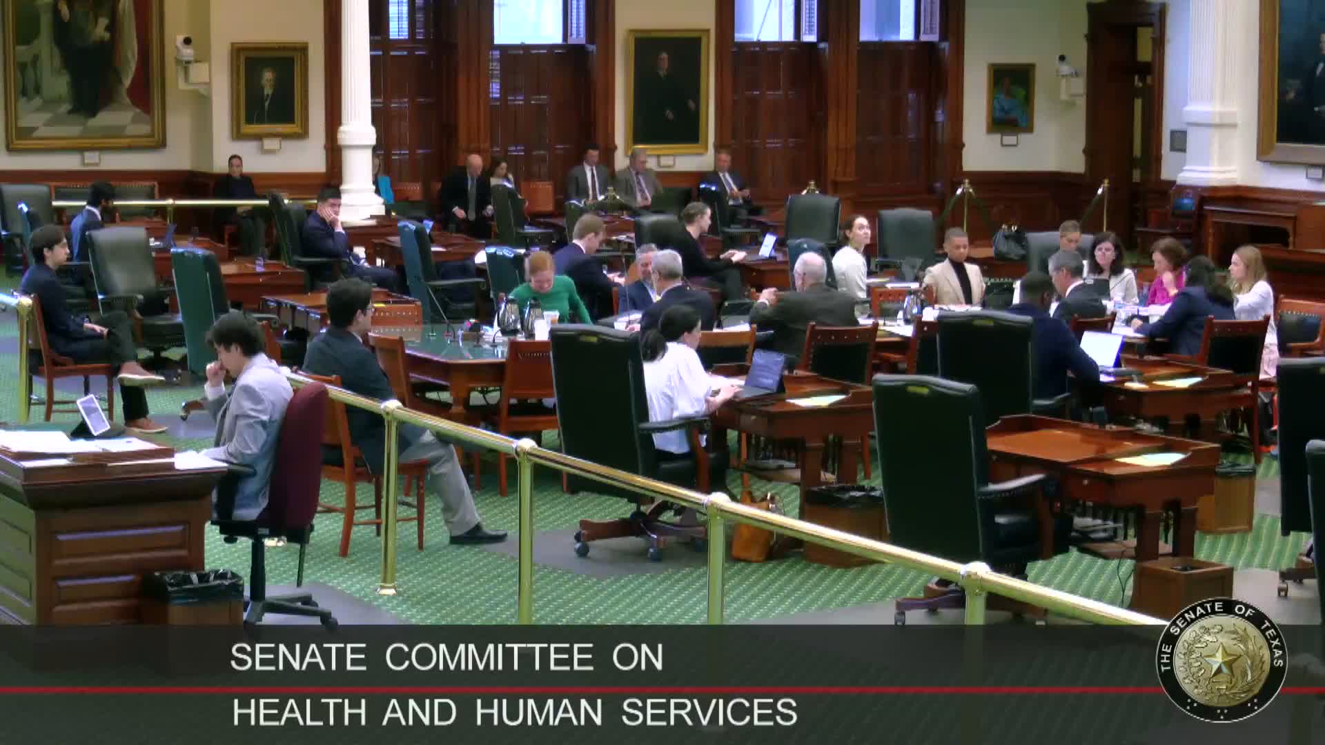 Texas senators hear bill to require hospitals to report monthly child‑abuse referral data to HHSC