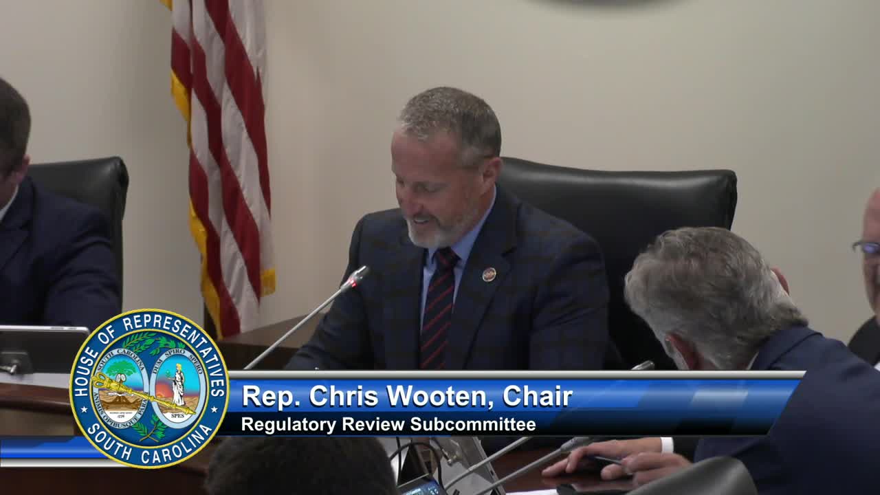 Subcommittee pauses debate on bill to change rental/racing-cart age and oversight after safety concerns