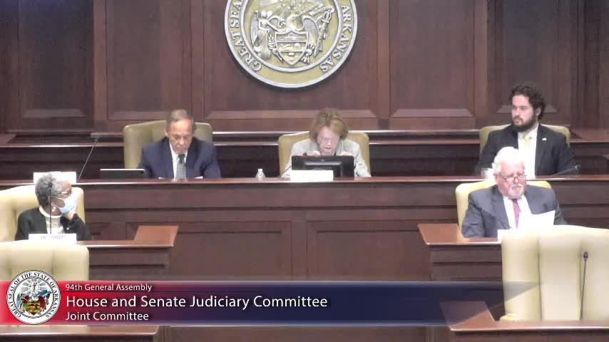 Tim Holtoff outlines Arkansas court automation progress and future plans