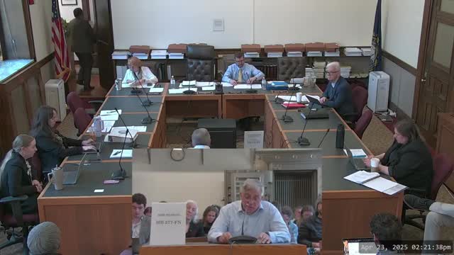 New Hampshire legislators debate House Bill 377 on gender-affirming treatment for minors