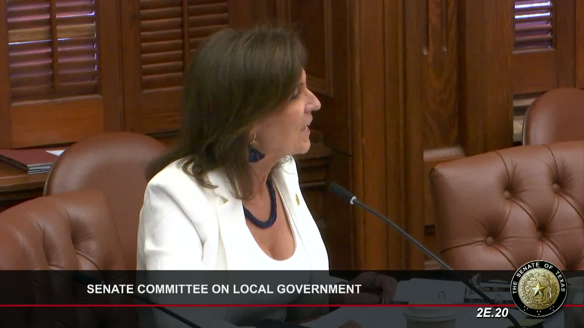 Texas Senate committee reviews SB 2477 to improve affordable housing development
