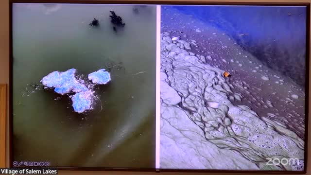 Lake Michigan faces ecological crisis from invasive species and declining native wildlife