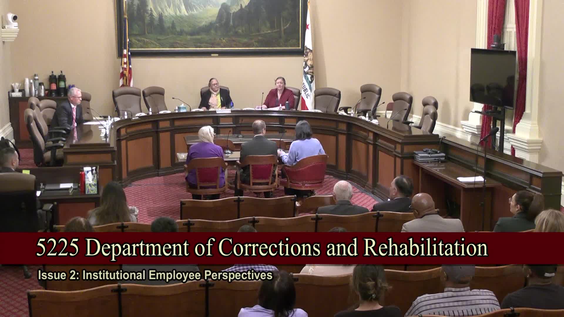 Prison psychiatrists, psychologists and nurses tell Senate contracting, mandatory overtime and registry stretch staff and threaten continuity of care
