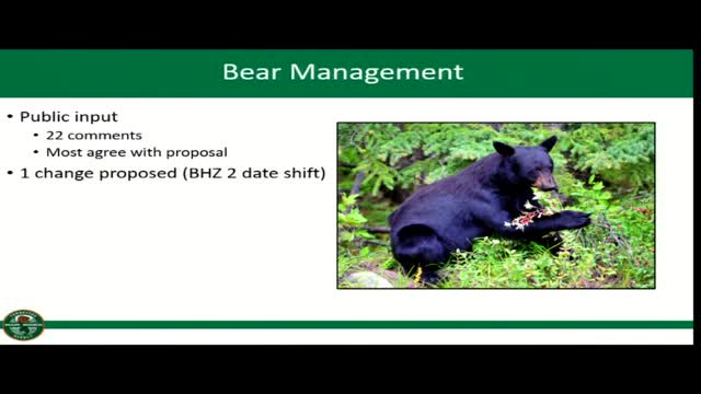Tennessee Commission proposes changes to bear hunting regulations in Gatlinburg area